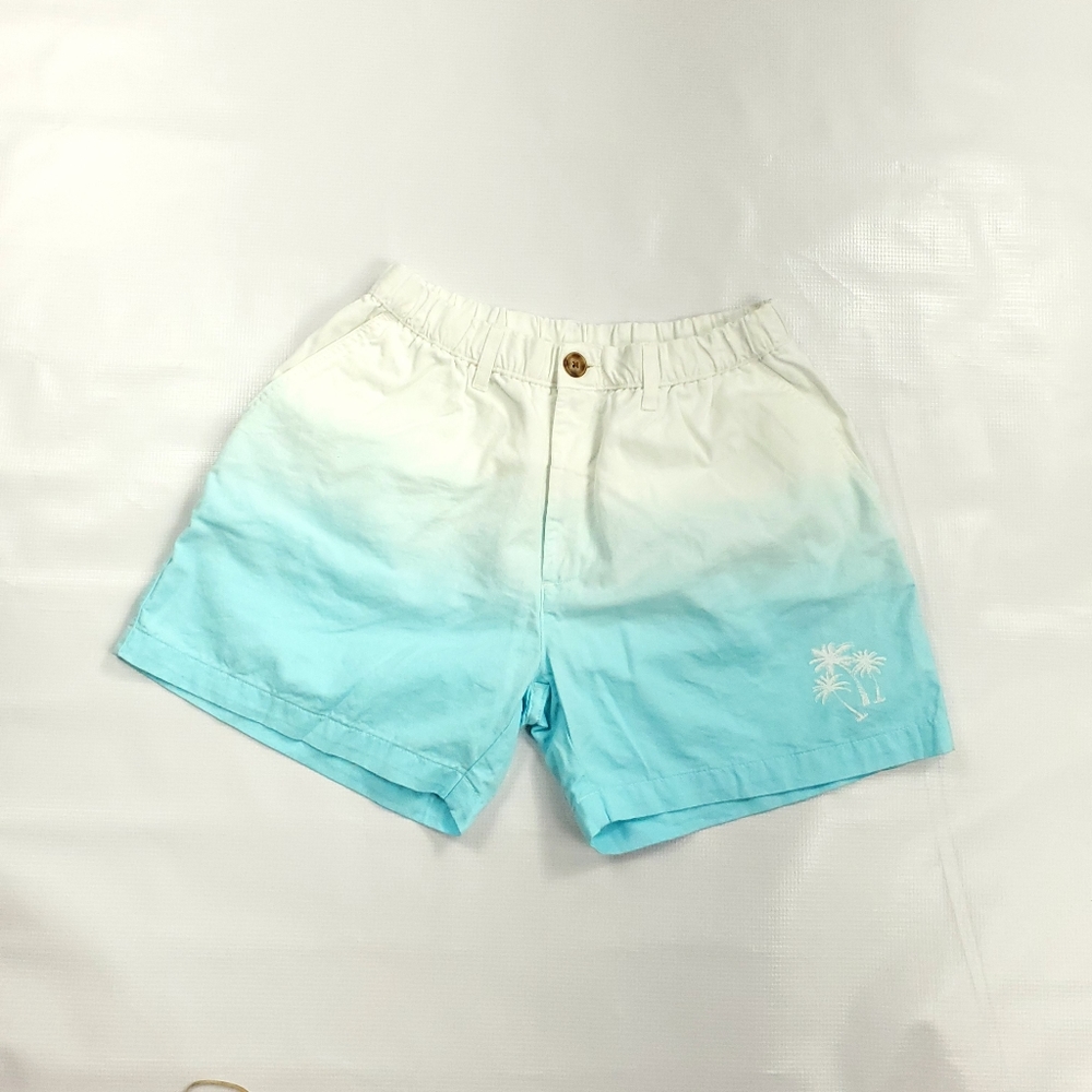 Chubbies Mens shorts blue white Zip Size medium